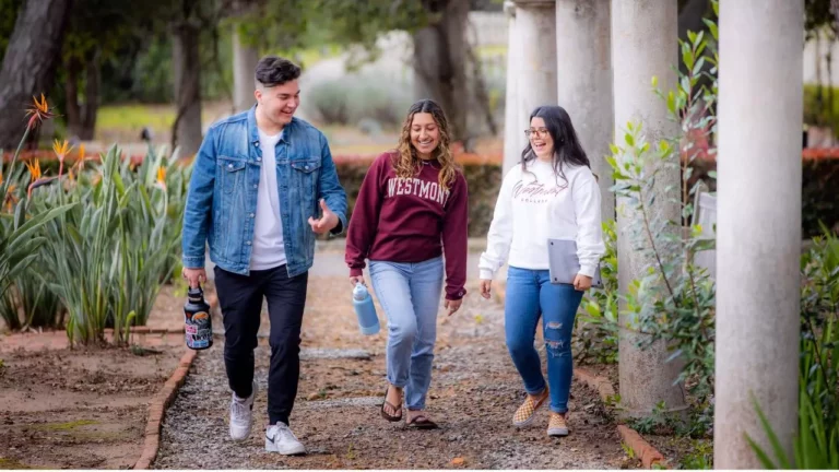 StudentsPillars.jpg 768x432