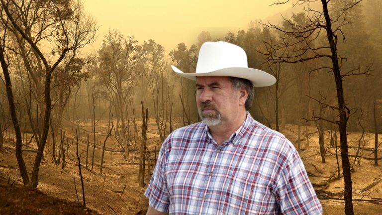 lamalfa fire 768x432