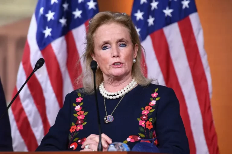 debbie dingell getty 01.jpg 768x512