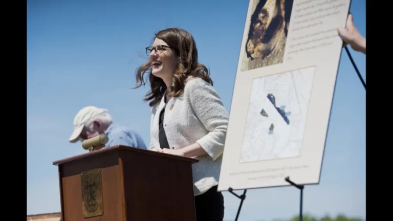 Sarah Elfreth 768x432